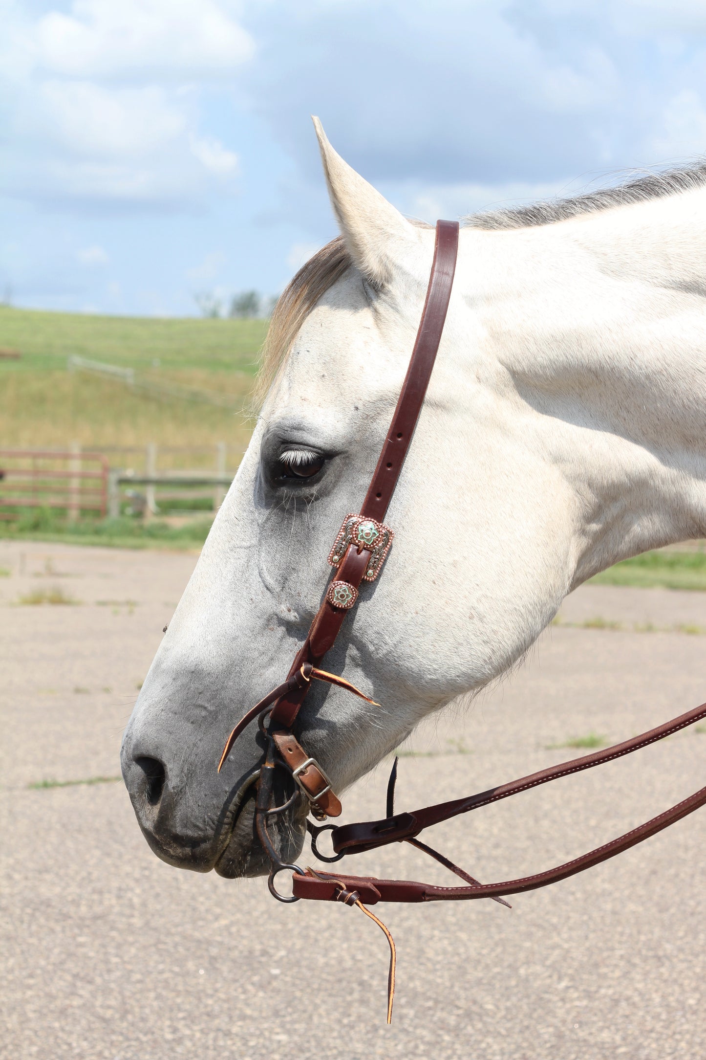 Square Turquoise & Copper Buckle Headstall