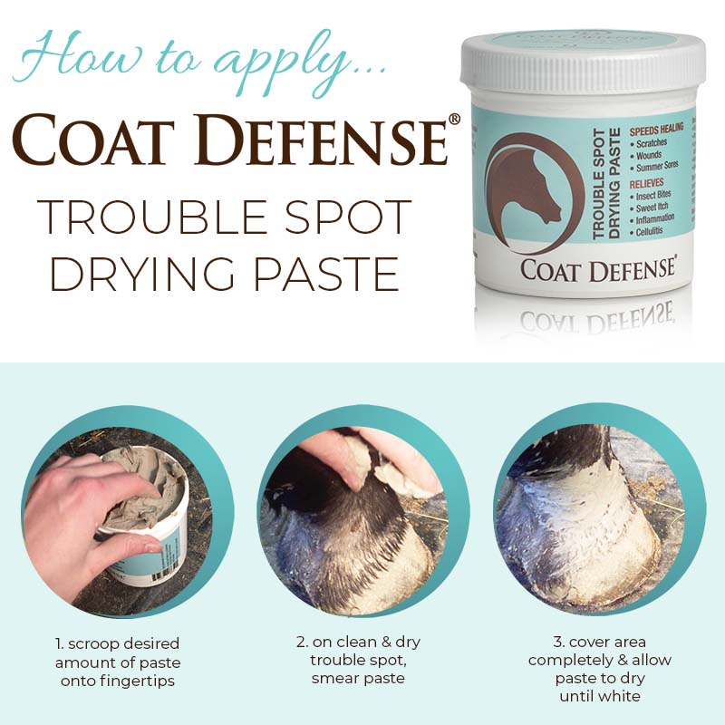 Coat Defense Trouble Spot Drying Paste 10oz